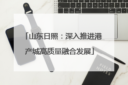 山东日照：深入推进港产城高质量融合发展