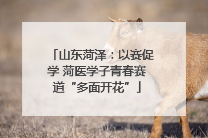 山东菏泽：以赛促学 菏医学子青春赛道“多面开花”