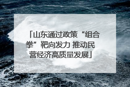 山东通过政策“组合拳”靶向发力 推动民营经济高质量发展