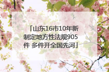 山东16市10年新制定地方性法规905件 多件开全国先河