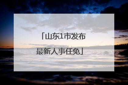 山东1市发布最新人事任免