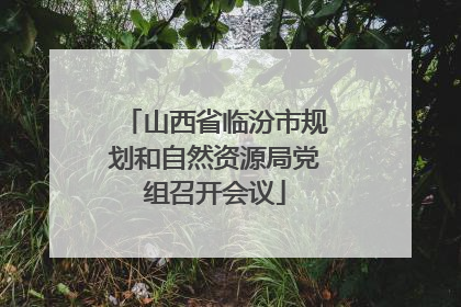 山西省临汾市规划和自然资源局党组召开会议