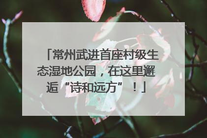 常州武进首座村级生态湿地公园，在这里邂逅“诗和远方”！
