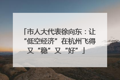 市人大代表徐向东：让“低空经济”在杭州飞得又“稳”又“好”