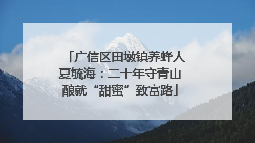广信区田墩镇养蜂人夏毓海：二十年守青山酿就“甜蜜”致富路