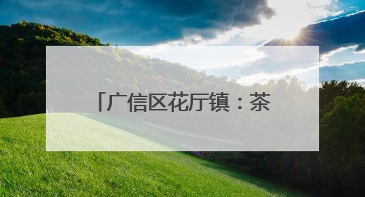 广信区花厅镇：茶香飘出致富路 绿水青山绘新篇（图）