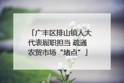广丰区排山镇人大代表履职担当 疏通农贸市场“堵点”