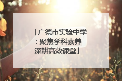 广德市实验中学：聚焦学科素养 深耕高效课堂