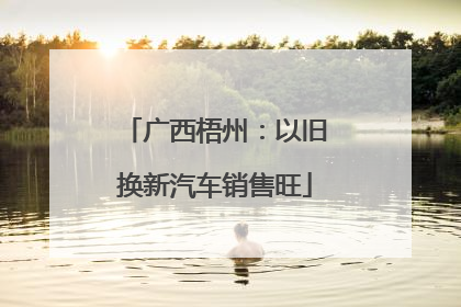 广西梧州：以旧换新汽车销售旺