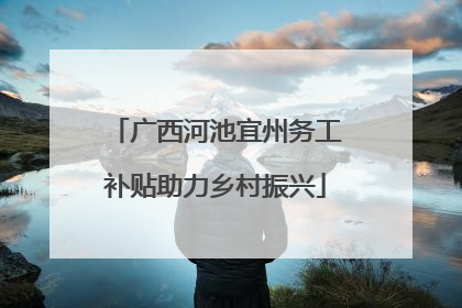 广西河池宜州务工补贴助力乡村振兴