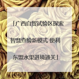 广西自贸试验区探索智慧查验新模式 便利东盟水果进境通关