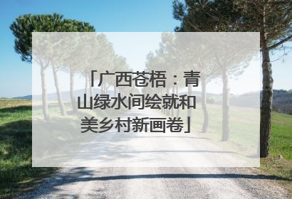 广西苍梧：青山绿水间绘就和美乡村新画卷