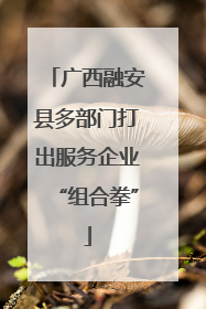 广西融安县多部门打出服务企业“组合拳”
