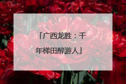 广西龙胜：千年梯田醉游人