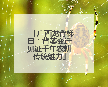 广西龙脊梯田：背篓变迁见证千年农耕传统魅力