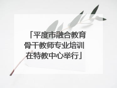 平度市融合教育骨干教师专业培训在特教中心举行