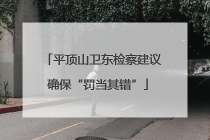 平顶山卫东检察建议确保“罚当其错”