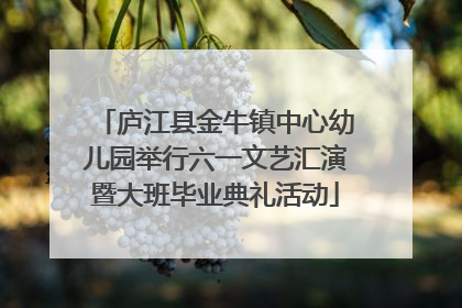 庐江县金牛镇中心幼儿园举行六一文艺汇演暨大班毕业典礼活动