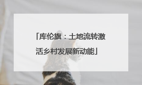 库伦旗：土地流转激活乡村发展新动能