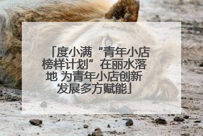 度小满“青年小店榜样计划”在丽水落地 为青年小店创新发展多方赋能