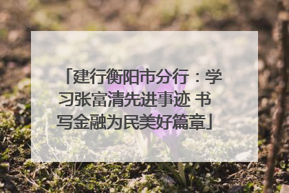 建行衡阳市分行：学习张富清先进事迹 书写金融为民美好篇章