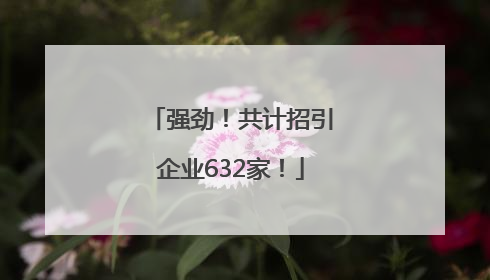 强劲！共计招引企业632家！