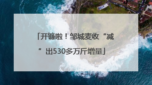 开镰啦！邹城麦收“减”出530多万斤增量