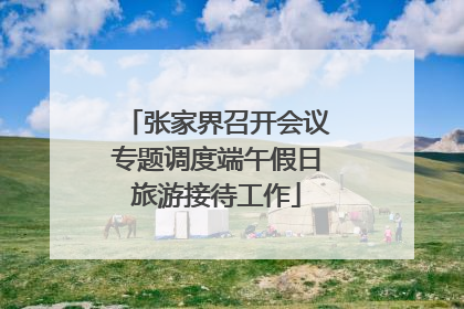 张家界召开会议专题调度端午假日旅游接待工作