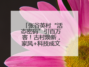 张谷英村“活态密码”引百万客！古村焕新，家风+科技成文旅融合新爆点