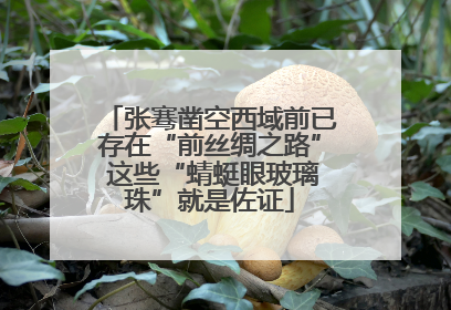 张骞凿空西域前已存在“前丝绸之路” 这些“蜻蜓眼玻璃珠”就是佐证