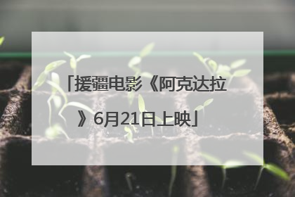 援疆电影《阿克达拉》6月21日上映