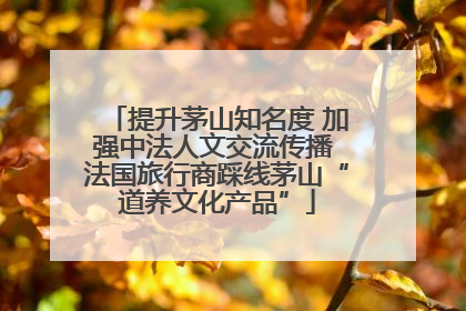 提升茅山知名度 加强中法人文交流传播 法国旅行商踩线茅山“道养文化产品”