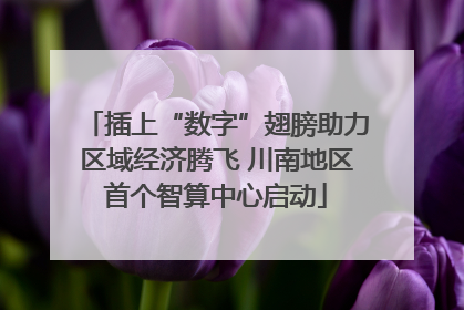 插上“数字”翅膀助力区域经济腾飞 川南地区首个智算中心启动