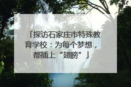 探访石家庄市特殊教育学校：为每个梦想，都插上“翅膀”