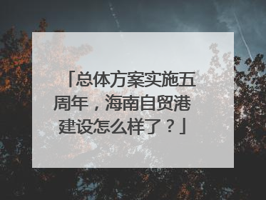 总体方案实施五周年，海南自贸港建设怎么样了？