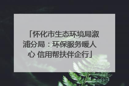 怀化市生态环境局溆浦分局：环保服务暖人心 信用帮扶伴企行