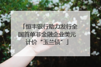 恒丰银行助力发行全国首单非金融企业美元计价“玉兰债”