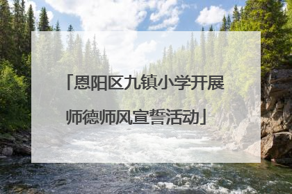 恩阳区九镇小学开展师德师风宣誓活动
