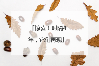 惊喜！时隔4年，它们再现