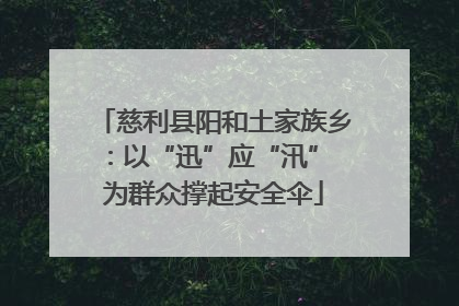 慈利县阳和土家族乡：以“迅”应“汛” 为群众撑起安全伞