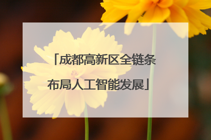 成都高新区全链条布局人工智能发展