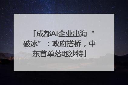 成都AI企业出海“破冰”：政府搭桥，中东首单落地沙特