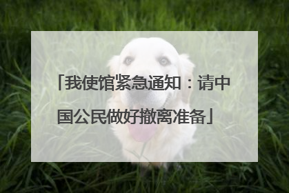 我使馆紧急通知：请中国公民做好撤离准备