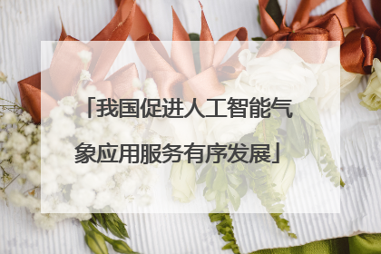 我国促进人工智能气象应用服务有序发展