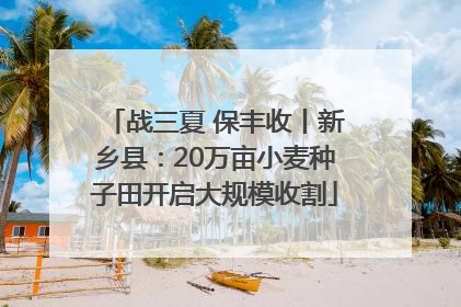 战三夏 保丰收丨新乡县：20万亩小麦种子田开启大规模收割
