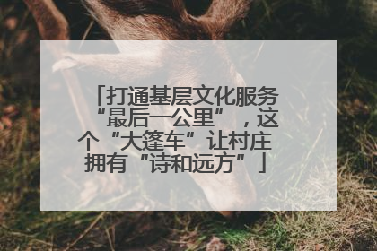 打通基层文化服务“最后一公里”，这个“大篷车”让村庄拥有“诗和远方”