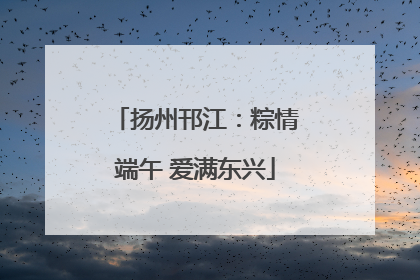 扬州邗江：粽情端午 爱满东兴