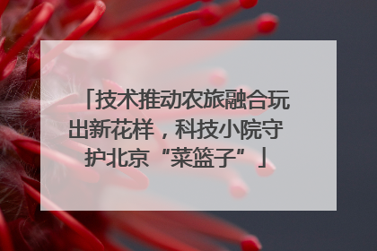 技术推动农旅融合玩出新花样，科技小院守护北京“菜篮子”