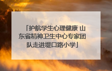 护航学生心理健康 山东省精神卫生中心专家团队走进堤口路小学