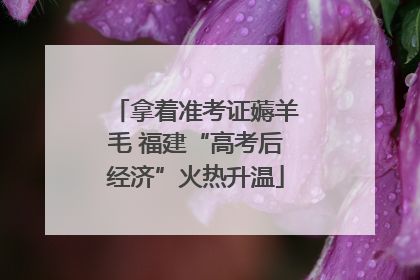 拿着准考证薅羊毛 福建“高考后经济”火热升温
